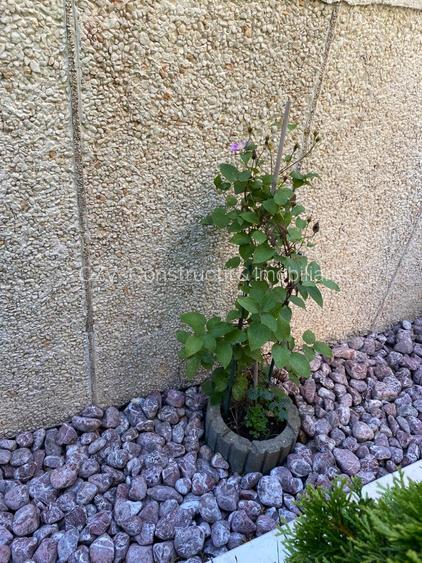 Rezidential sau Clinica/ Otopeni - 23 August - 13