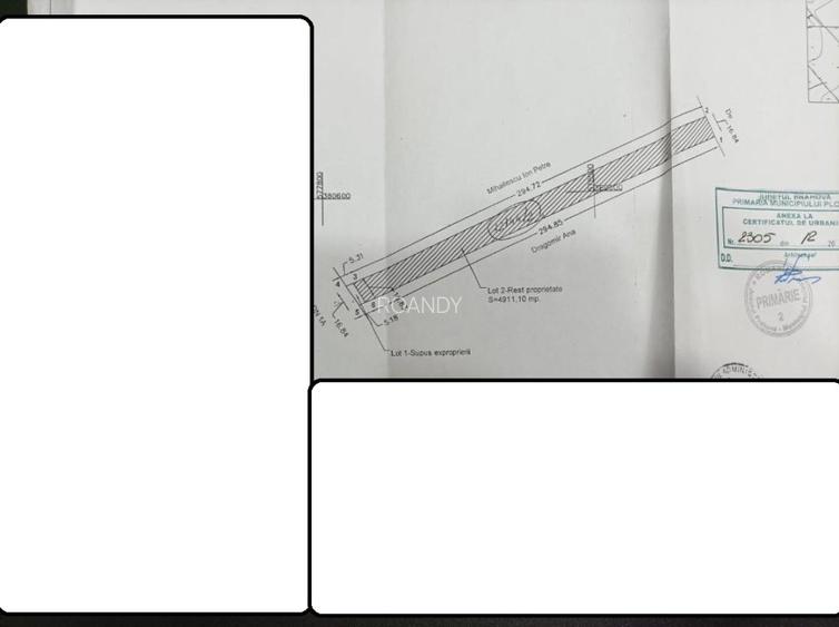 ROANDY-Teren ideal pentru investitie parc Vest - 4