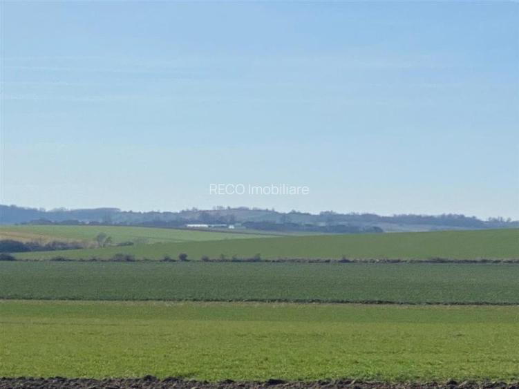 RECO Teren  pentru investitie  4ha Tauteu-Zona Autostrazii Transilvania - 3