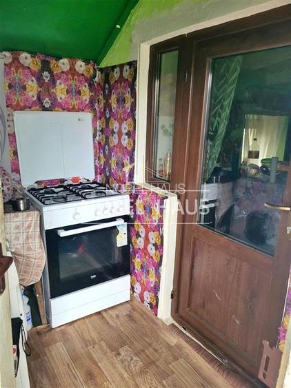 Casa, teren si padure, in sat Siscani, jud Vaslui - 7