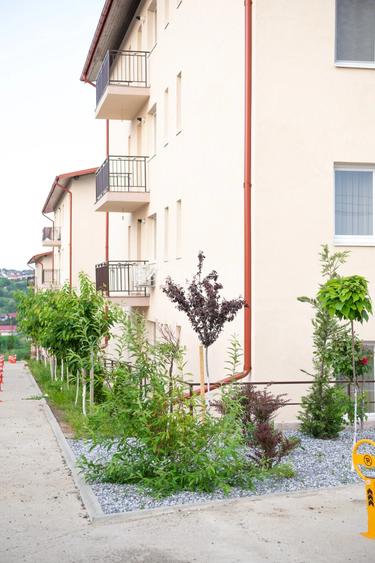 Apartament 1 camera Valea Lupului - 8