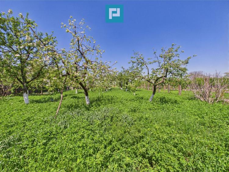 Vilă cochetă 4 camere P+M în Munar - 25