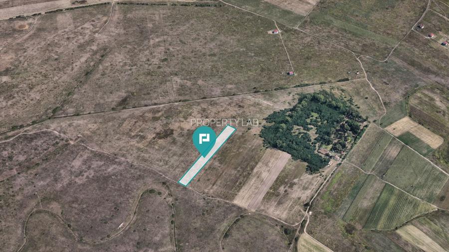 Teren extravilan de 10.000 mp - 2