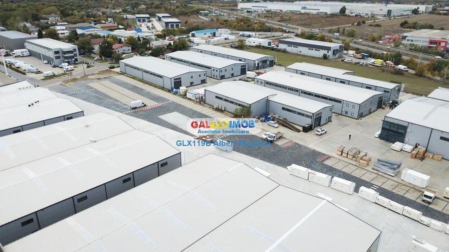 Hale Industriale Centura Rudeni Chitila Centura 415 mp 978 mp - 7