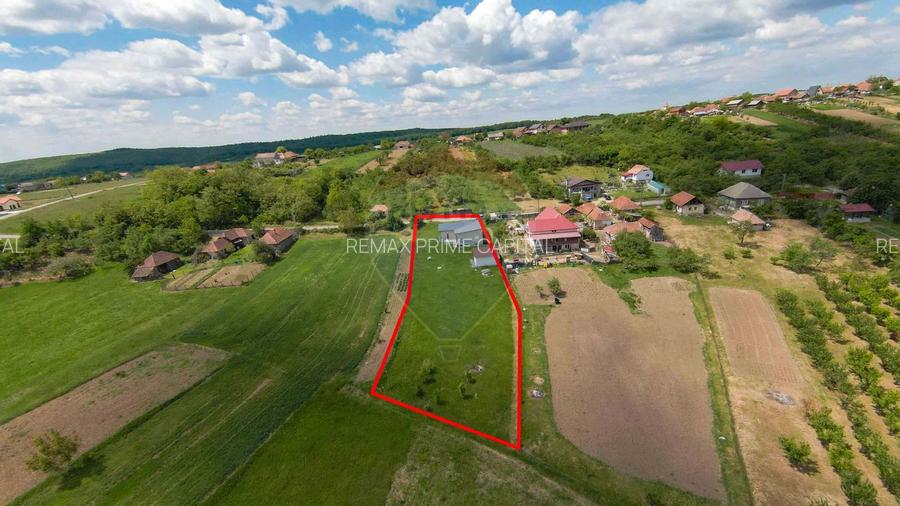 Casă cu 3 camere, anexă și 2042 mp teren de vânzare, în Calea Mare - 12