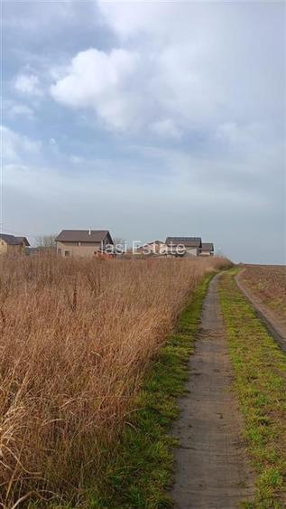 Aroneanu str Viisoarei TEREN 2 loturi x 650 mp. Intravilan cu utilitati zona con - 8