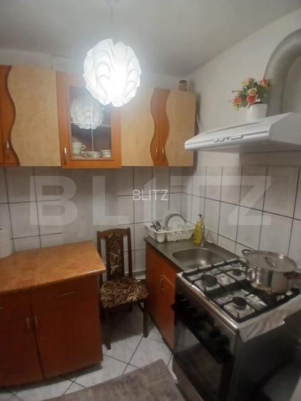 Apartament 2 camere zona Alexandru cel Bun  - 10