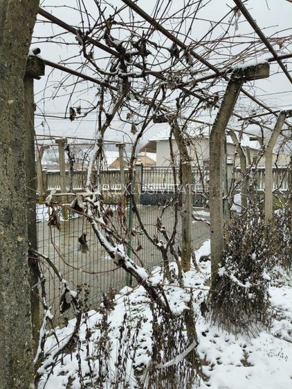 Proprietate rară – 2 case + livadă, vie și teren generos, la 20 km de Târgu Jiu - 11