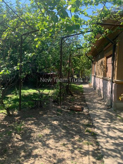 Voluntari Vanzare Casa batraneasca cu teren 100mp - 3
