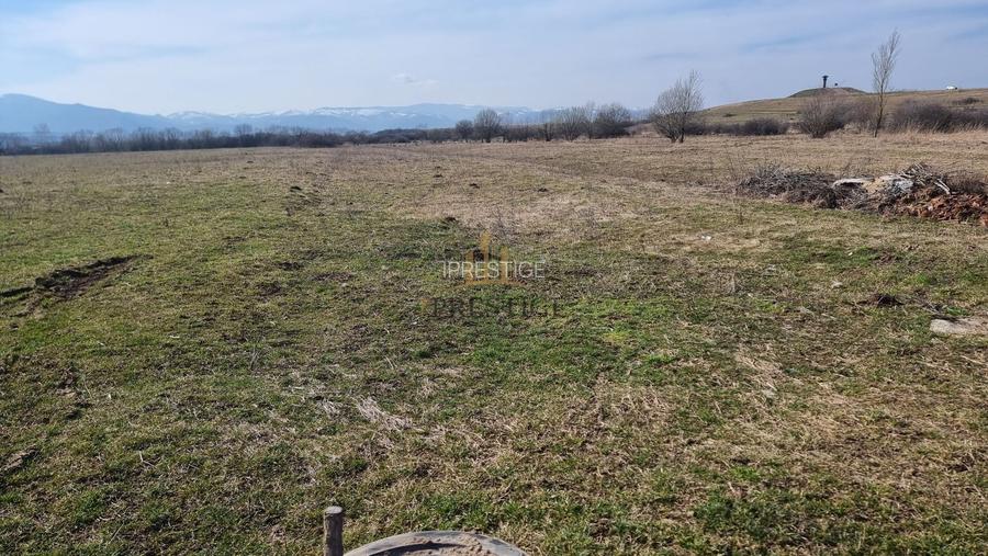 FĂRĂ COMISION | TEREN 1000 MP ȘELIMBĂR ZONA TROIȚĂ | INVESTIȚIE - 11