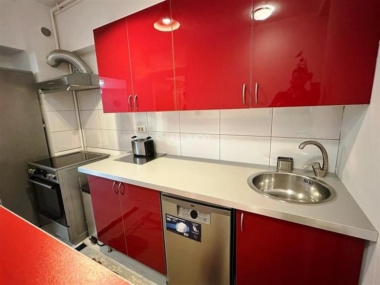 Apartament 2 camere zona Herastrau - 7