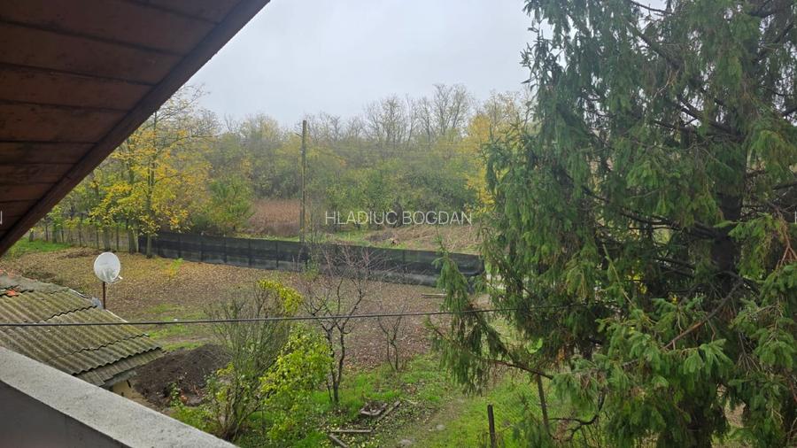 Casă individuală P+E + 2 anexe, teren 3.052 mp – Dârvări, jud. Călărași - 10