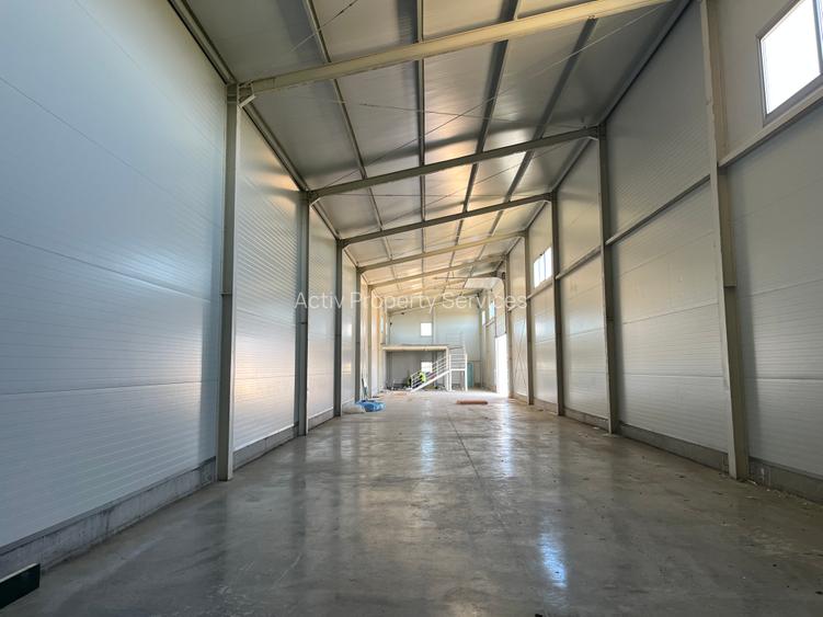 Spațiu industrial de inchiriat Parcul Industrial Sânandrei Timișoara - 6