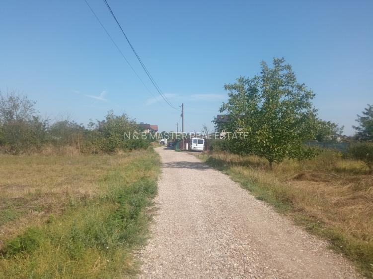 Teren 100Omp, Clinceni, Str Rozelor - 8