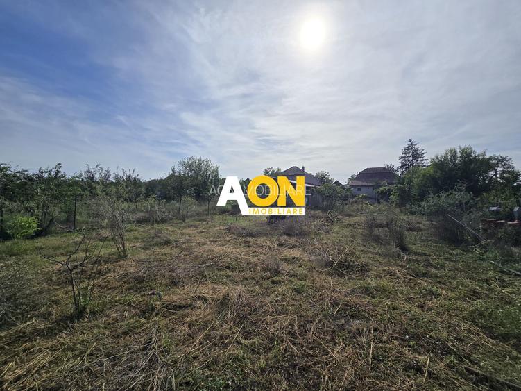 Casa 3 Camere, 1100mp Teren cu Garaj, Gura Ariesului - 8