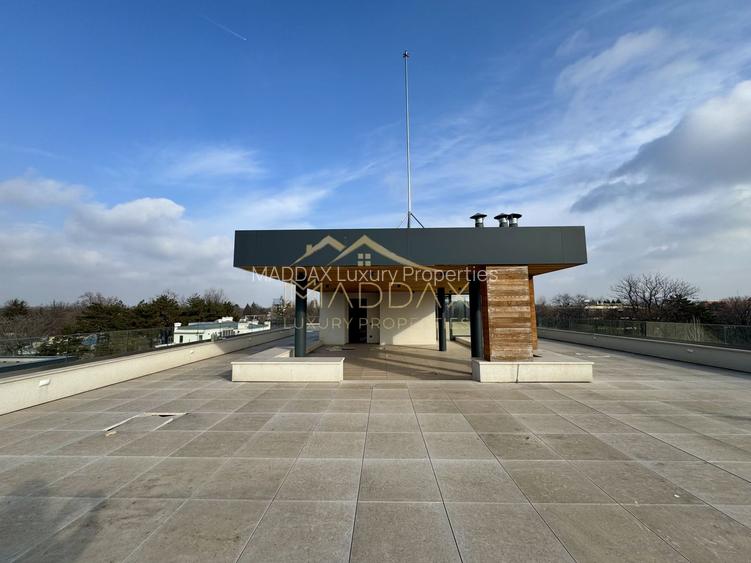 Resedinta de lux / * Kiseleff* - 2