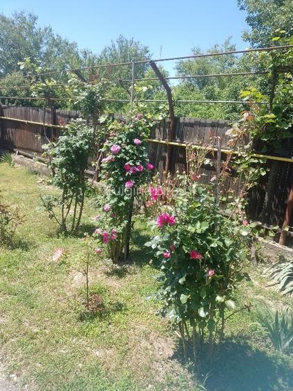Casă duplex de vânzare în Tg Jiu , aproape de magazinul Economic, lângă pasarela - 2