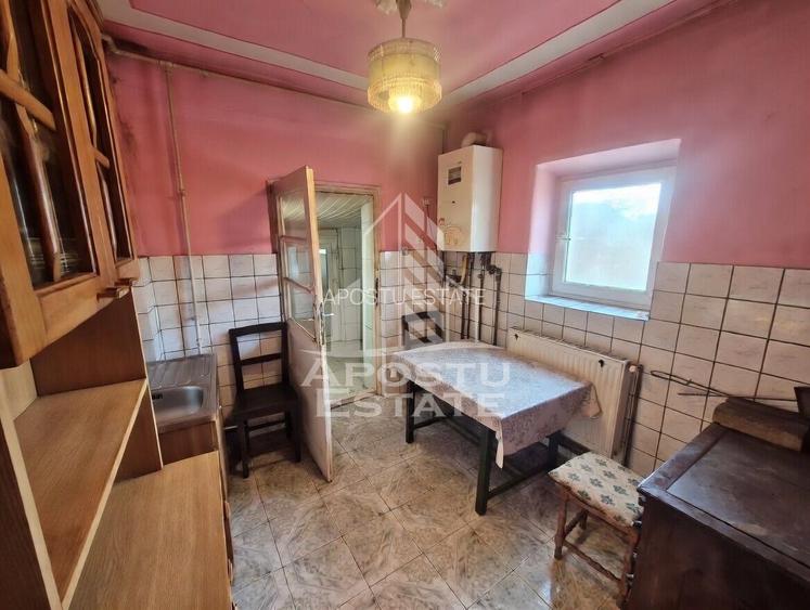 Casă individuală cu etaj, teren 3000 mp, grădină și solar – Satchinez - 6