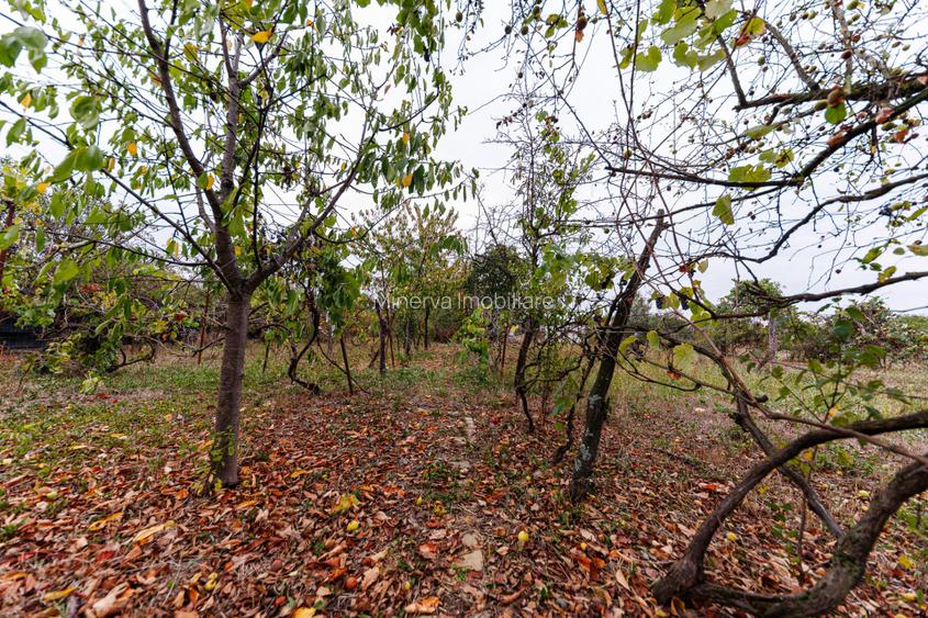 Casa locuibila pe teren de 1.439 mp, Urseni – Vatra Veche - 20