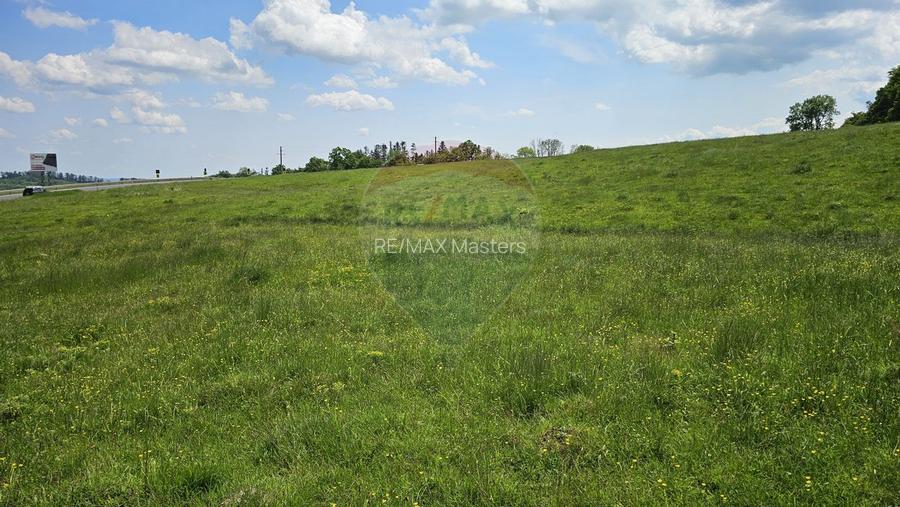 Teren Ilisesti  7000mp extravilan/ DN 17, Suceava - 22