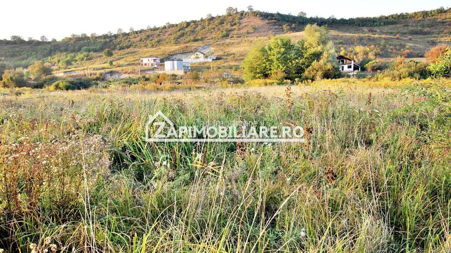 De vanzare 2 terenuri de 29.500 mp si 1.400 mp.29 euro mp - 7