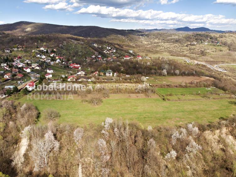 Mountain Plateau - 23.345 SQM - Exclusive Estate | Jud Prahova - Valea Prahovei - 4