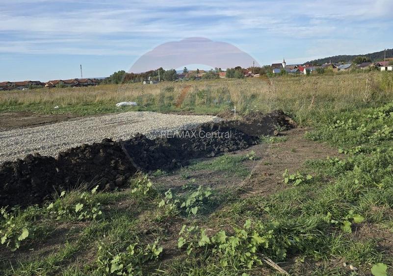 Teren Sanpetru, str Armoniei, 539mp, cu proiect casa si avize in lucru - 14