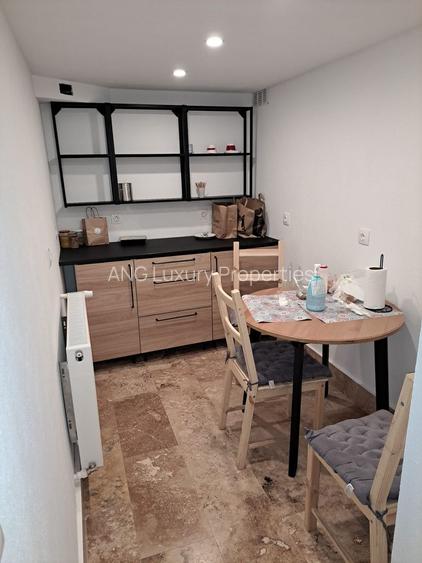 SPATIU PENTRU REZIDENTIAL,BIROURI NOTARIAT SAU CLINICA CISMIGIU - 13