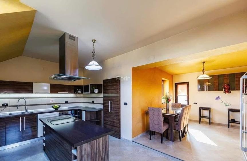 Casa de vanzare in Sag zona linistita, aproape de Timisoara - 12