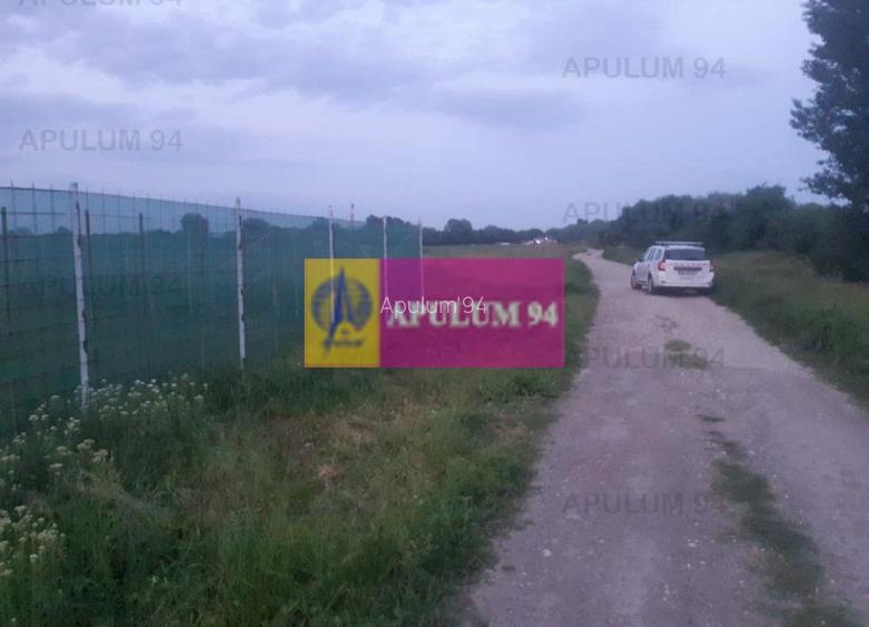 Teren aproape de Bucuresti langa padure - 15