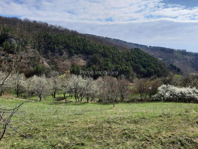 TEREN INTRAVILAN 13700 MP, INURI, VINTU DE JOS - 3