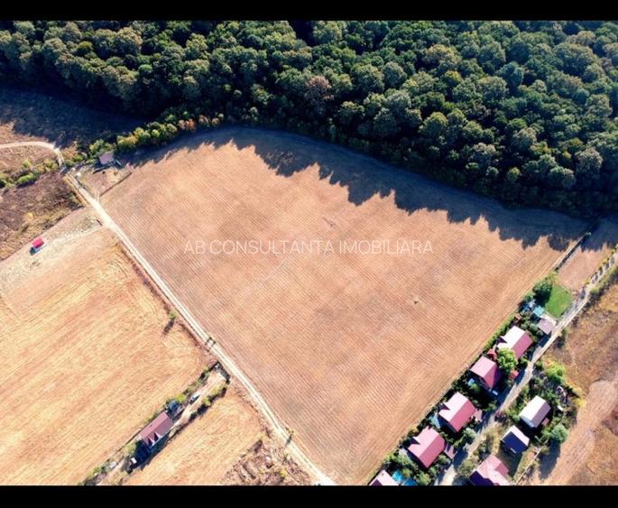 OCAZIE!!! Teren lipit de pădure cu acces foarte facil la DN1 - 2