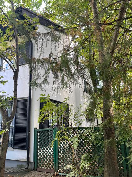 Iancu Nicolae vila 5 dormitoare gradina matura - 2