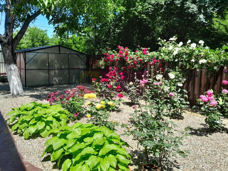 VANZARE CASA 5 CAM P+1 IN SAT MOVILITA (IL) - 6