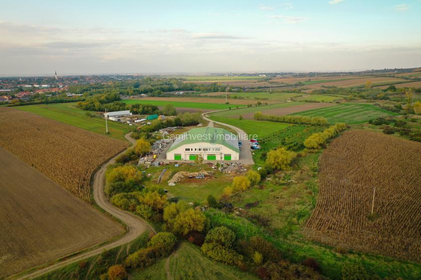 Hala industriala de vanzare in Biharia, Bihor, Romania  - 3