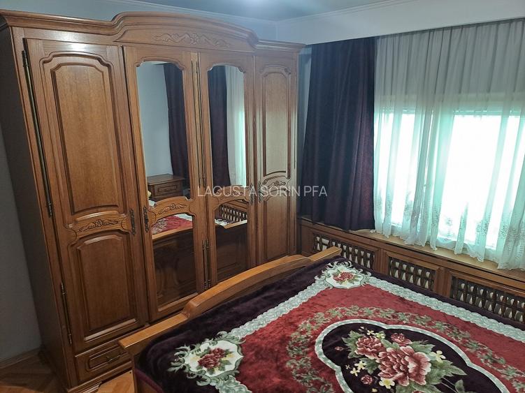 Industriilor - Hala Laminor, singur curte, libera - 10