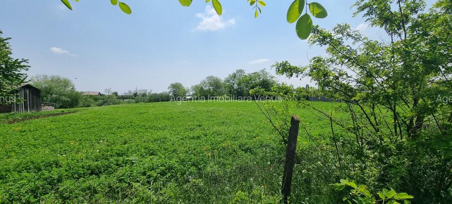 Teren intravilan ideal investitie in Catamarasti Deal - 4