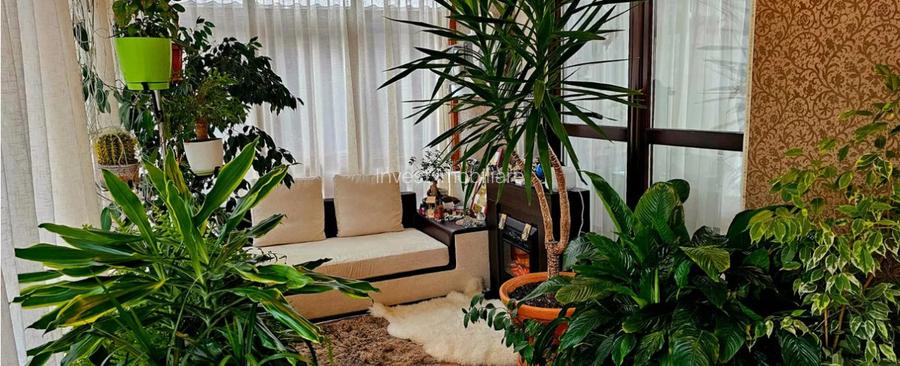 Casă 4C Valea Lupului-Iași - 4