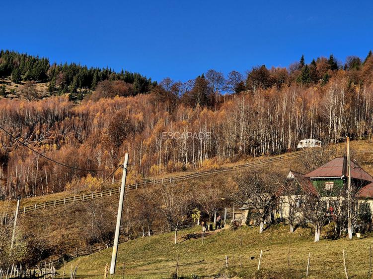Teren de vânzare în sat Măgura/ Brasov– loc pentru familie, liniște și suflet - 5