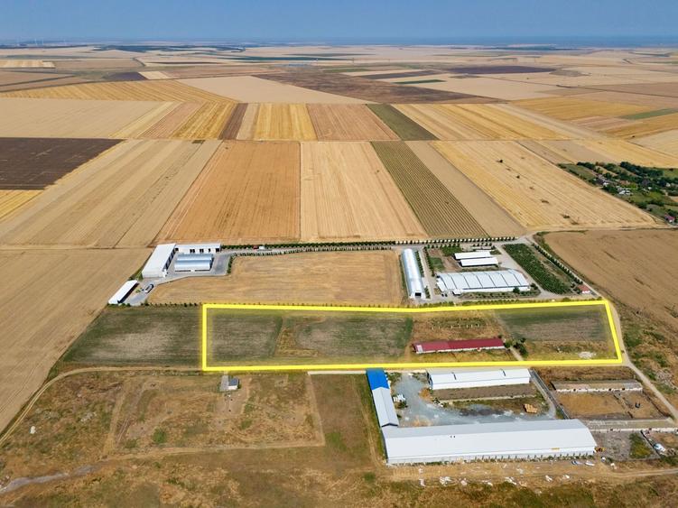 Cogealac - Tariverde – Ferma cu teren intravilan, utilitati racordate!