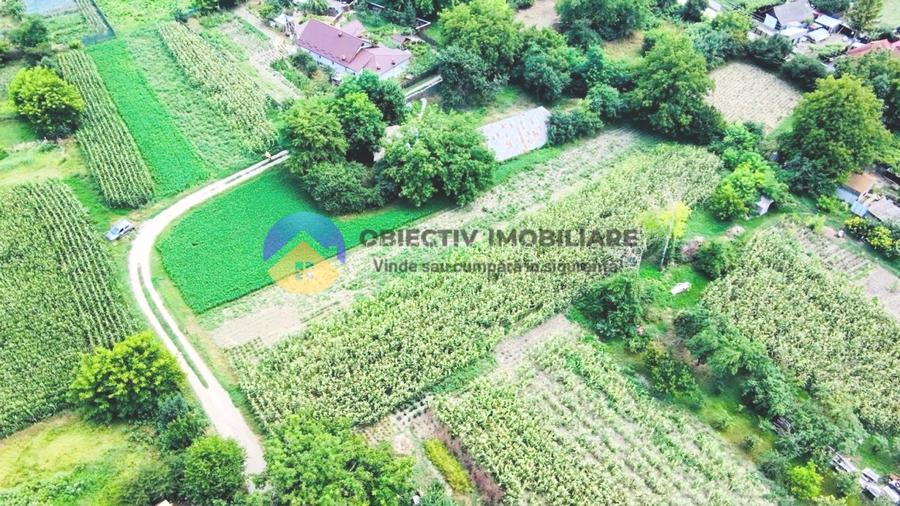 TEREN intravilan GIROV  4133 mp - 7