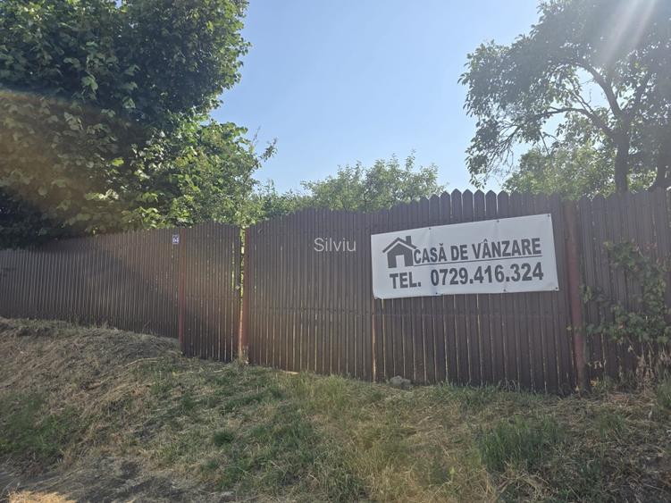 Casa batraneasca ,gradina cu vie si livada, fara agentie  - 11