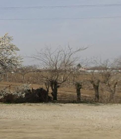 Teren centru Magurele - 4