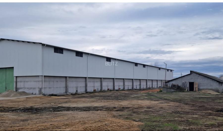Proprietate agroindustriala, hala 1590 mp, teren 28000 mp, panouri 398 kWp - 3