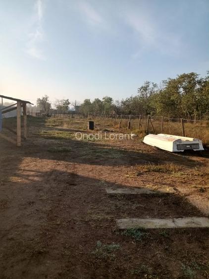 Teren INTRAVILAN în Delta Dunării – 1035 mp – Chilia Veche – locație rară - 5