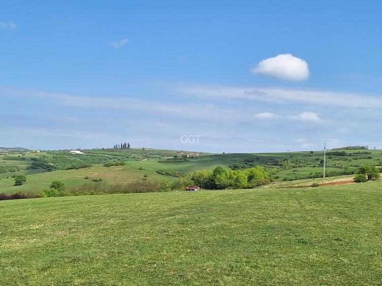 📏 teren pentru cabane Sibiu, Dealul Daii, Casolt, direct de la proprietar - 10