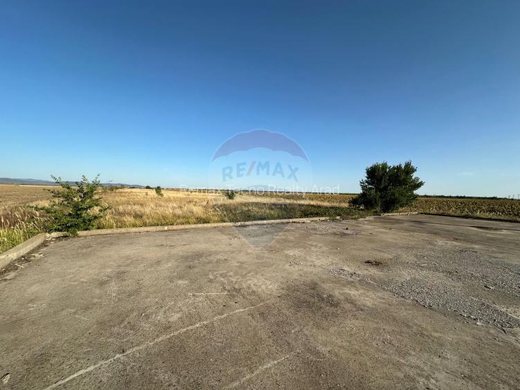Teren extravilan de vânzare – 19.963 mp, E68 Mândruloc–Vladimirescu - 9