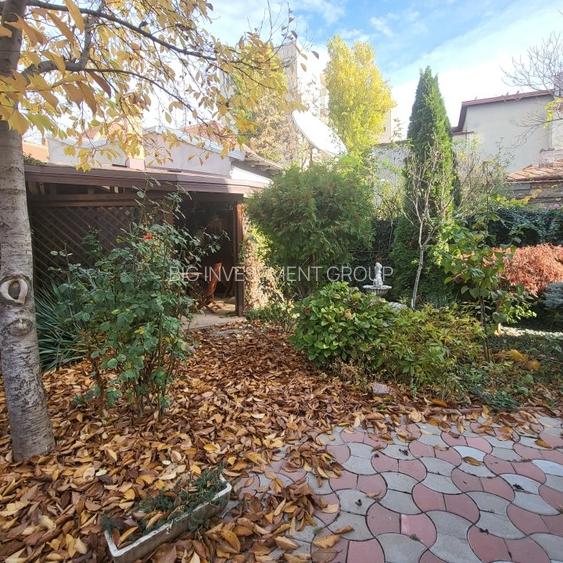 Vila boiereasca, superba, strada, linistita, nelipita de vreun alt imobil - 6