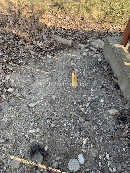 Teren intravilan Piatra Neamt - 4