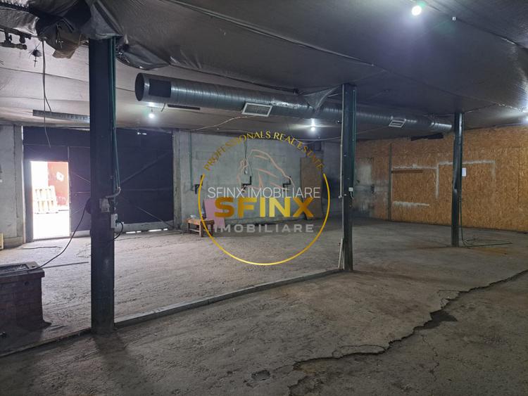 Hale de inchiriat Doamna Ghica, Baicului, ideal depozitare - 3